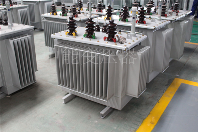 柳州S22-250KVA/10KV变压器